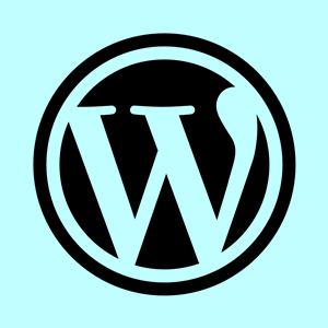 Cara Update WordPress Manual