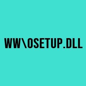 WW\osetup.dll